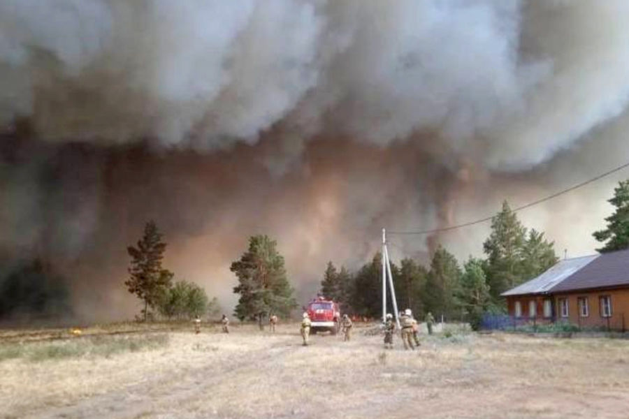 Сотрудники МЧС тушат лесной пожар в&nbsp;Челябинской области, 9 июля 2021 года