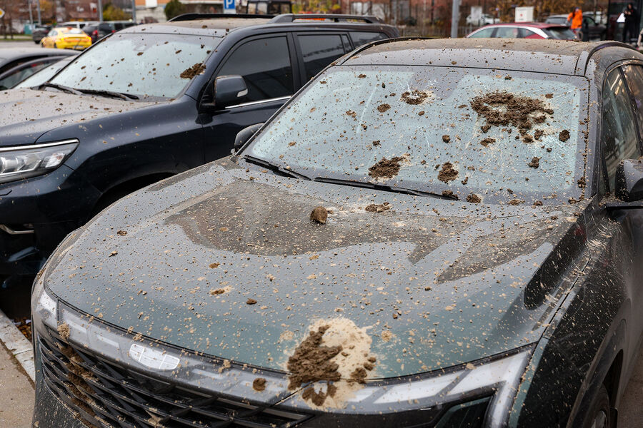 Последствия обрушения конструкции демонтируемого горнолыжного комплекса &laquo;Снежком&raquo; в&nbsp;Красногорске, 11&nbsp;ноября 2025&nbsp;года