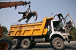 29 июня. Автокран убирает тело 40-летнего слона, убитого врезавшимся в него грузовиком на окраине Нью-Дели.