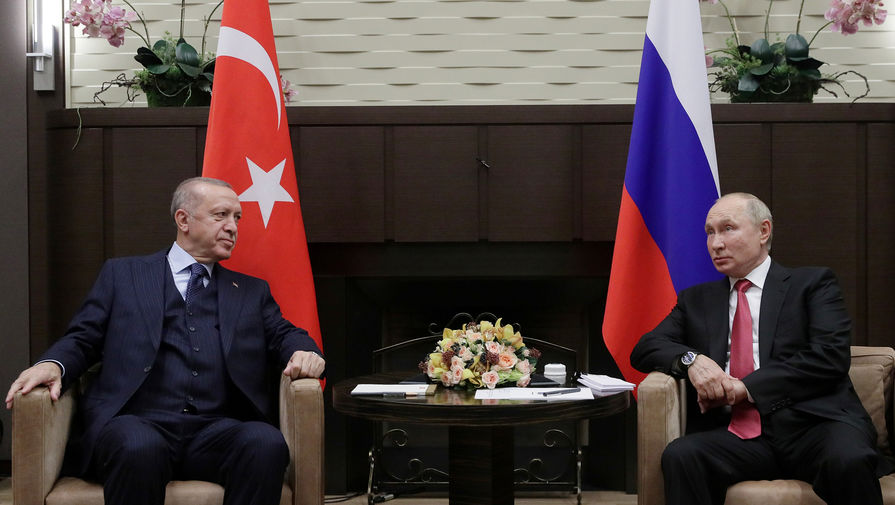 Путин и Эрдоган поспорили об уровне антител