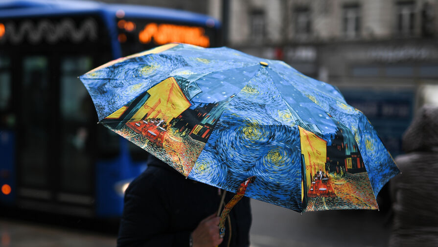 Климатолог объяснил, почему в Москве стали часто идти дожди