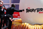 Фотоколл Angry Birds в Каннах