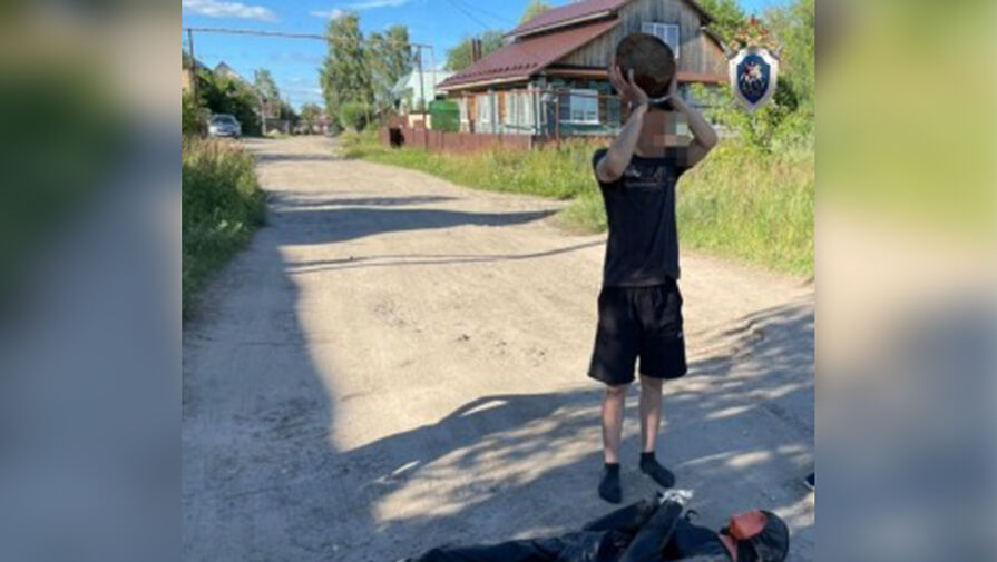 Житель Нижегородской области забил подругу поленом из-за ревности