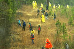 Операция по поиску обломков шаттла «Колумбия» в Бронсоне, штат Техас, 9 февраля 2003 года