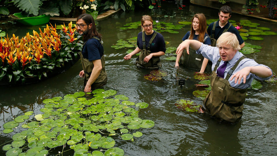 Борис Джонсон сажает кувшинки в&nbsp;Королевском ботаническом саду в&nbsp;Лондоне, 2015 год