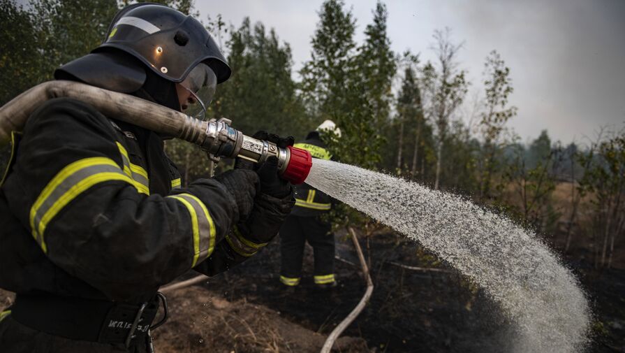 Минприроды: пожарных выводят из Рязанской области в связи со стабилизацией обстановки