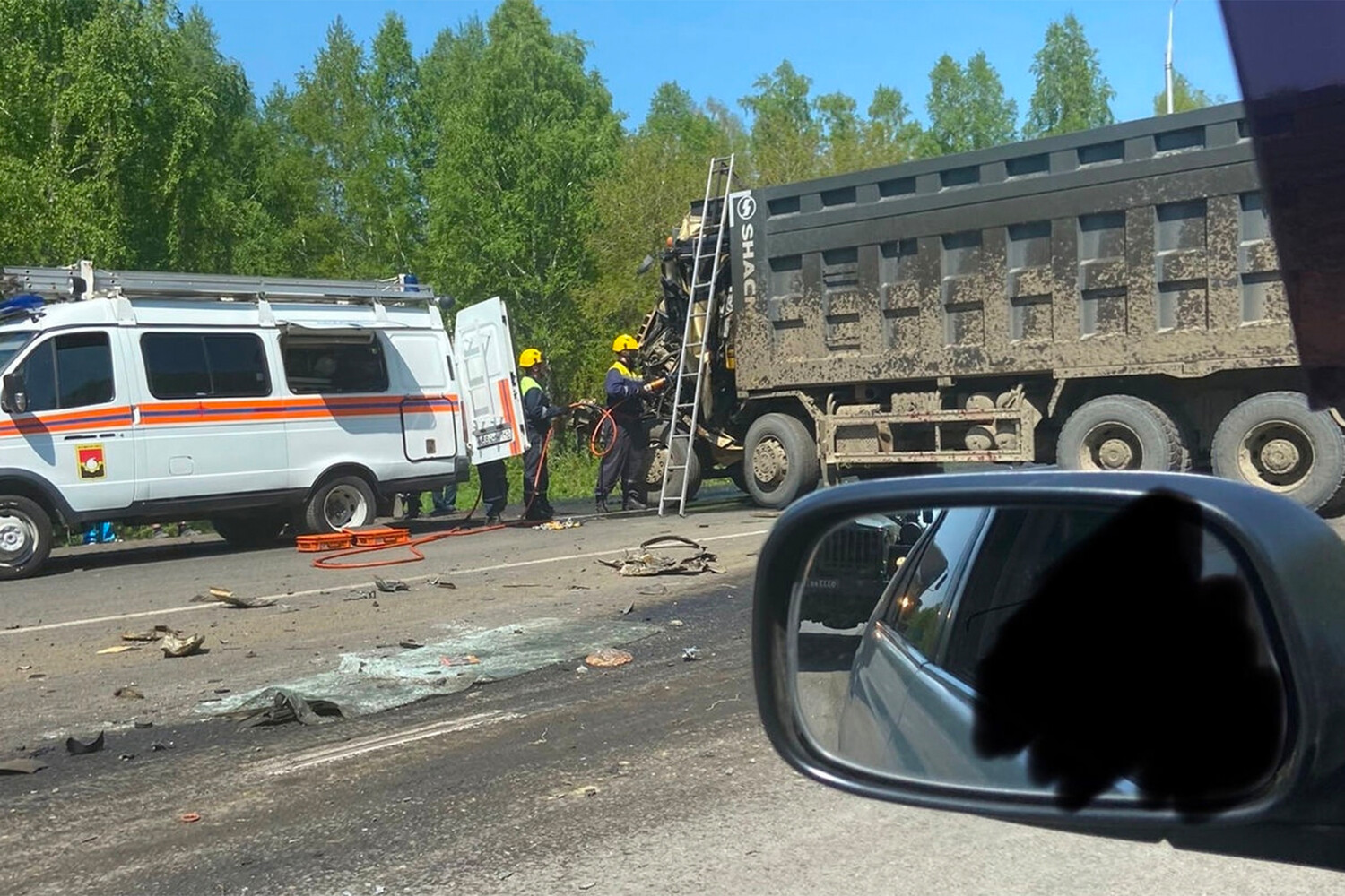 В Кемерово утка с утятами спровоцировала ДТП с двумя грузовиками -  Газета.Ru | Новости