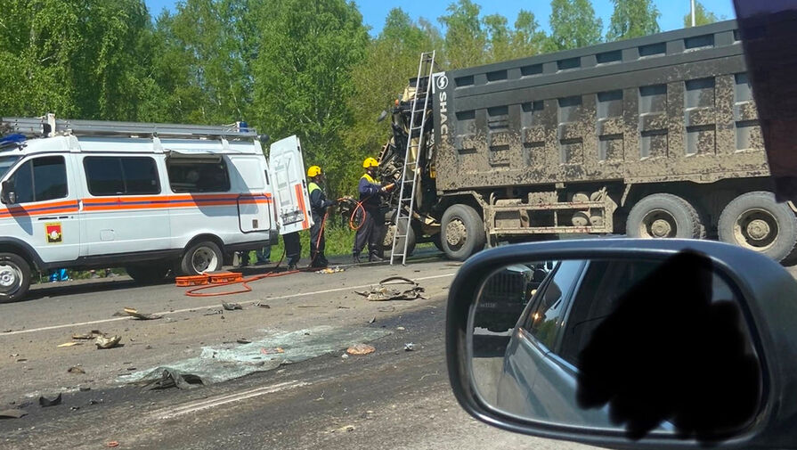 В Кемерово утка с утятами спровоцировала ДТП с двумя грузовиками