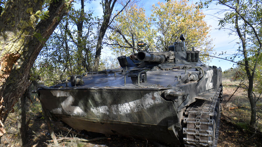 Министры обороны Греции и Германии обсудили поставки Украине БМП-1