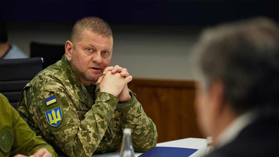 Главком ВС Украины Залужный выступит на Военном комитете НАТО