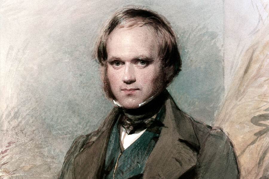 Портрет молодого Чарльза Дарвина, 1840 год