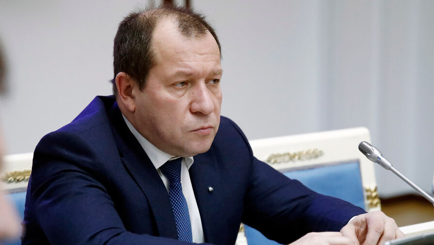 Правозащитница Меркачева объяснила, как напавший на члена СПЧ Каляпина оказался в его доме