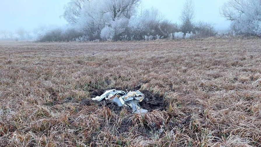 В Рязанской области обломки БПЛА упали на территории промышленного предприятия