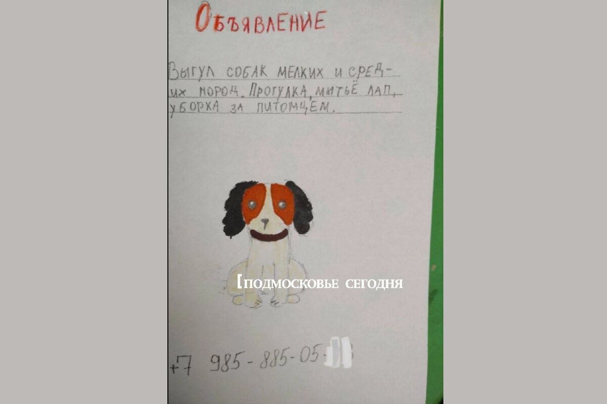 Уличное объявление школьника умилило жителей Подмосковья - Газета.Ru |  Новости