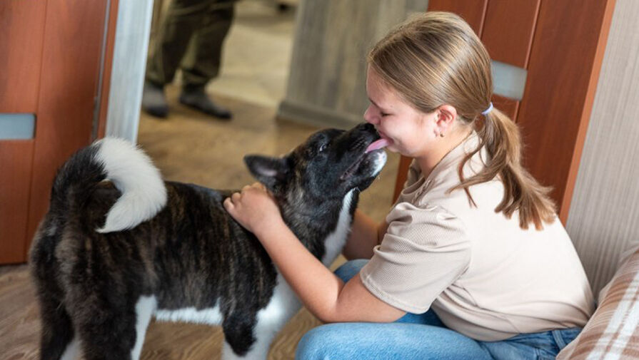 Путин подарил школьнице из Пскова щенка, о котором она давно мечтала