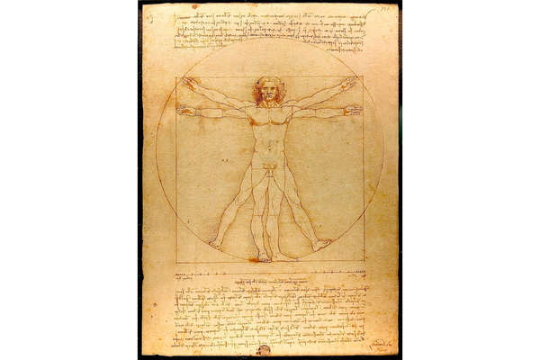 Леонардо да Винчи «Витрувианский человек» (1492)