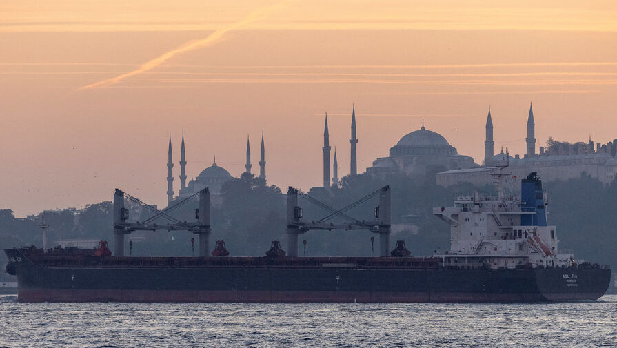 Ученый Курназ заявил, что часть Стамбула может уйти под воду к 2050 году