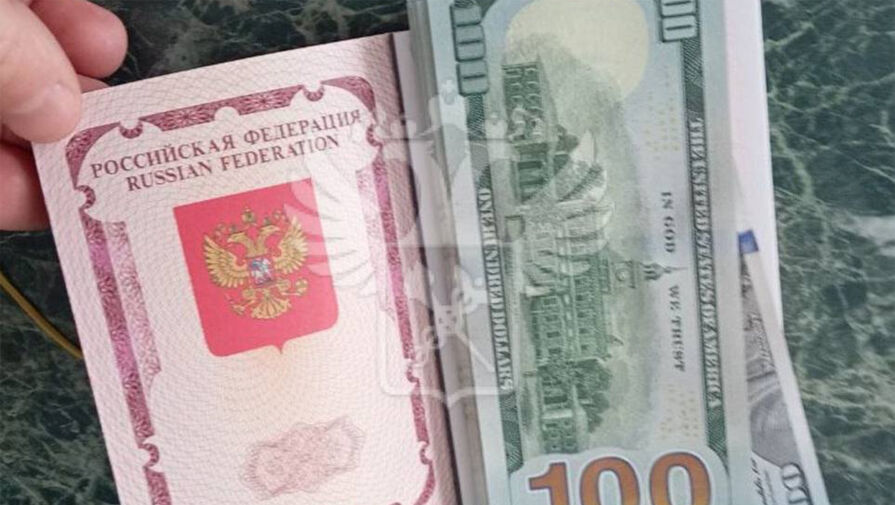 Россиянин пытался провезти в страну 26 тыс. долларов и дать взятку таможенникам