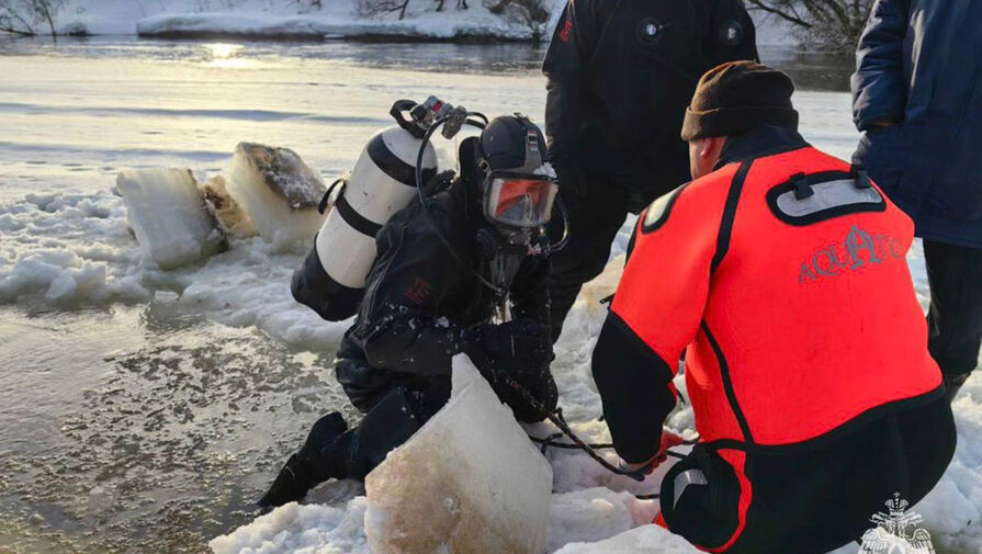 В ЛизаАлерт раскрыли протяженность треков поиска пропавших в Звенигороде детей