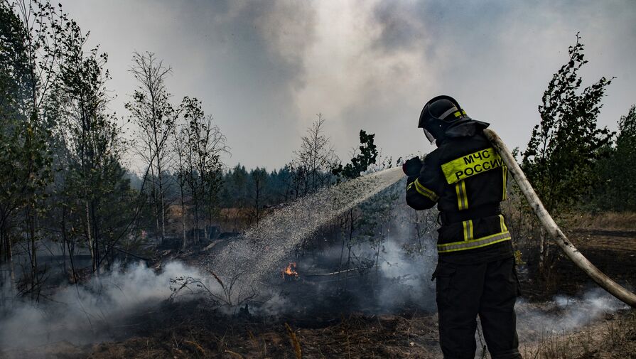 Малков: населенные пункты на границе пожара под Рязанью находятся в безопасности