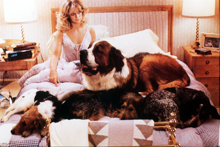 Актриса Голди Хоун в&nbsp;фильме «Все как в&nbsp;старые добрые времена», 1980&nbsp;год