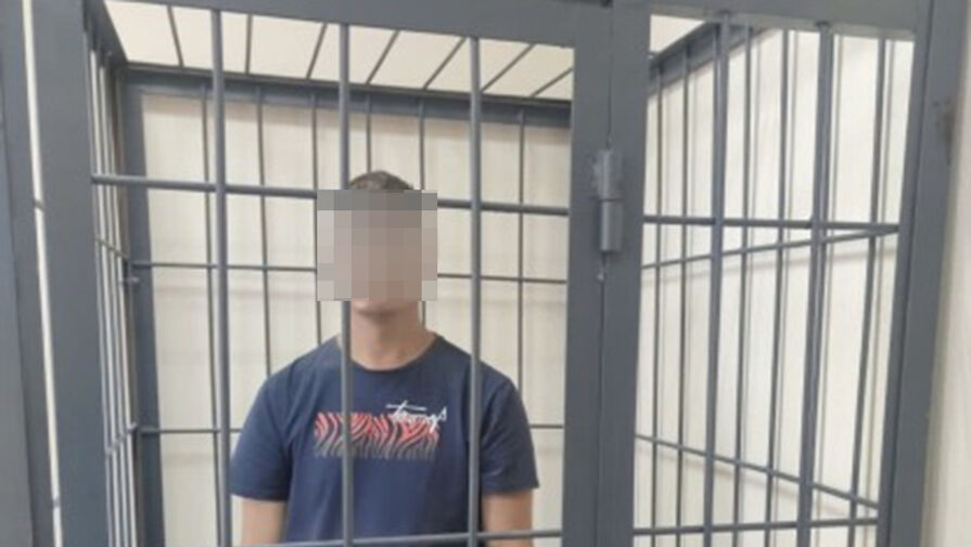 Мужчина, зарезавший супружескую пару в Самарской области, раскрыл детали убийства