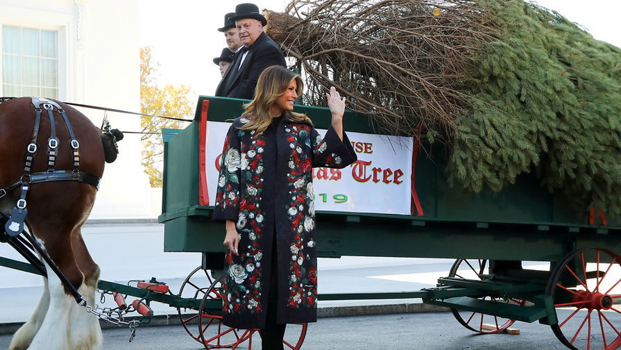 Первая леди США Меланья Трамп встречает рождественскую елку у белого дома, 25 ноября 2019 года