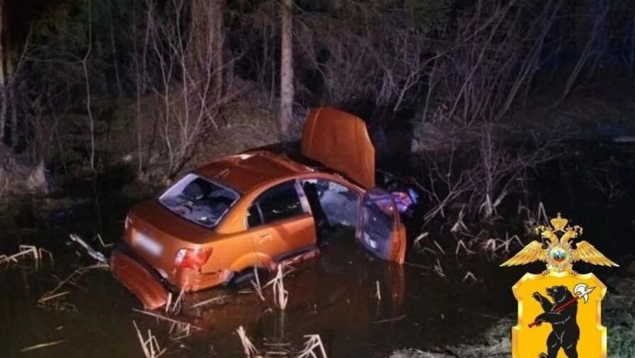 Ушли под воду: авто с людьми вылетело в кювет в момент аварии с лосем