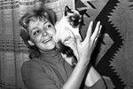 Актриса Ирина Скобцева с сиамской кошкой, 1958 год 