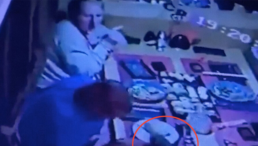 В Приморье на посетителей японского ресторана упала огромная крыса