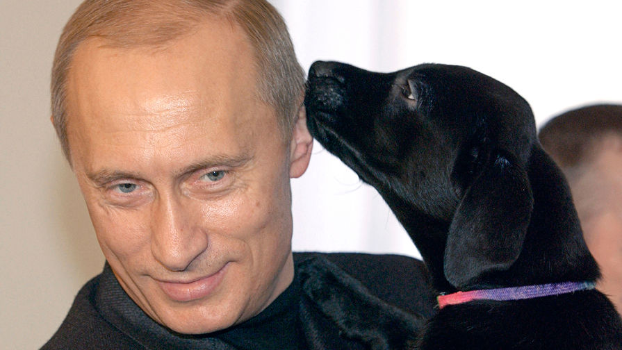 Владимир Путин с&nbsp;щенком, рожденным его любимой собакой лабрадором Кони. 2004&nbsp;год 