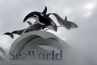Американский оператор океанариумов SeaWorld готовится к IPO