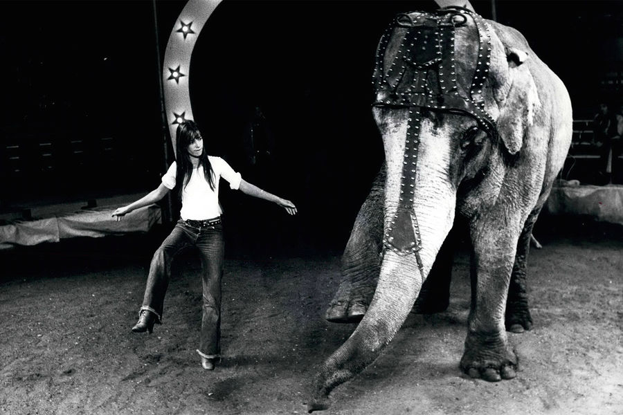 Джейн Биркин во время выступления в&nbsp;Зимнем цирке в&nbsp;Париже, 1975&nbsp;год