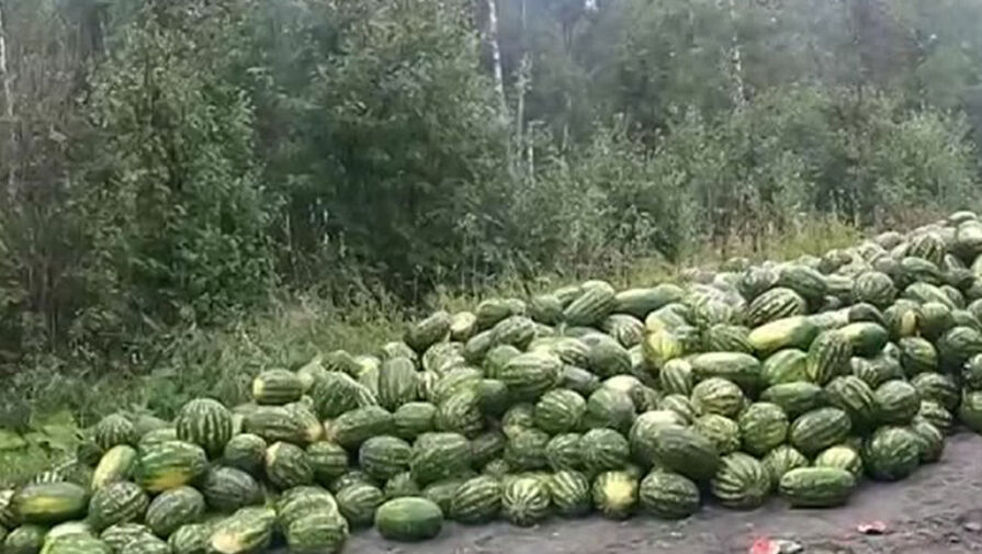 Фура с арбузами опрокинулась на шоссе в Челябинской области