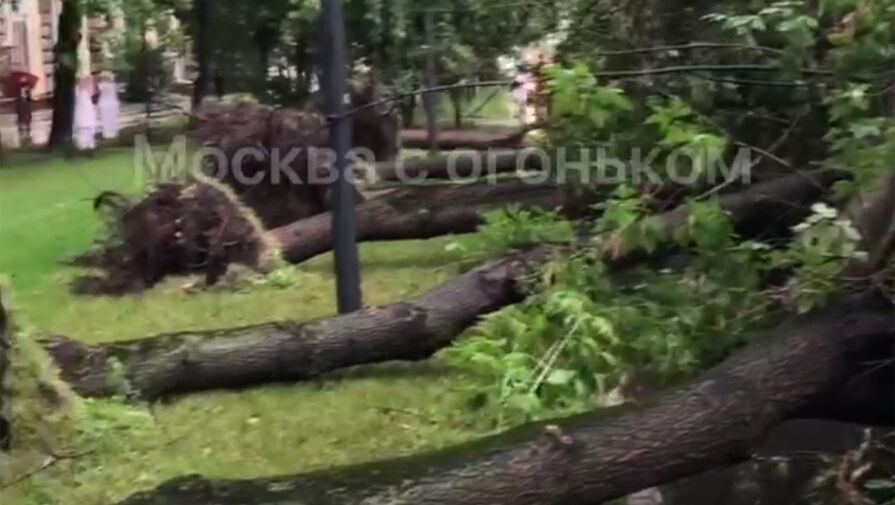 Мощный ураган в Москве снес деревья и рекламные щиты