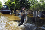 Волонтер выносит из воды собаку в городе Голая Пристань Херсонской области, затопленном после разрушения Каховской ГЭС, 17 июня 2023 года