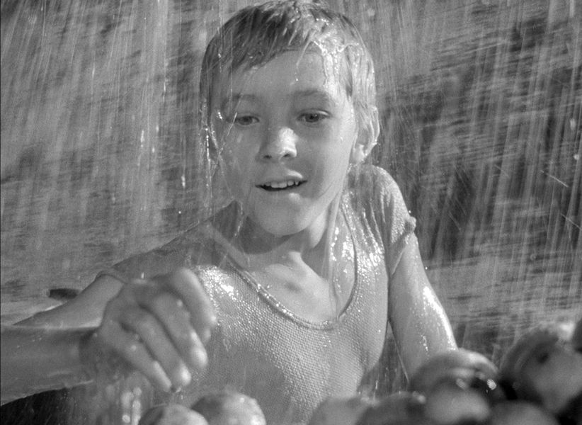 <b>«Иваново детство» (1962)</b>
<br>В «Ивановом детстве» Тарковский показывает войну глазами ребенка, у которого каратели расстреляли семью, а отец погиб на фронте. Мальчик прибивается к воинской части и становится разведчиком. Роль Ивана сыграл обычный школьник, в будущем известный актер — Николай Бурляев. Картина получила «Золотого льва» на фестивале в Венеции