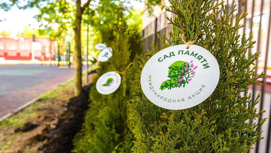 В день последнего звонка выпускники российских школ посадили деревья в честь героев ВОВ