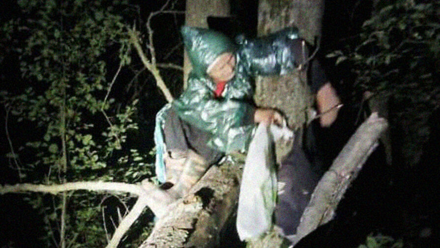 В подмосковном лесу нашли пенсионерку, привязанную к дереву