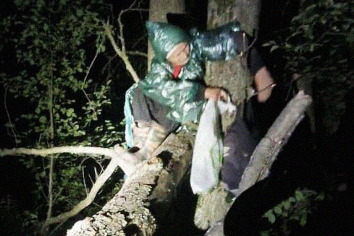 В Выксе похитили человека и привязали к дереву в лесу, где он умер