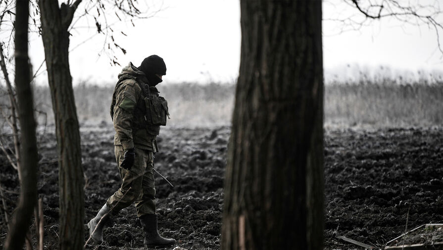 МО РФ сообщило об уничтожении польской САУ Krab в Херсонской области