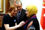 В 2017 году Линдси Лохан встретилась с президентом Турции Эрджепом Эрдоганом и его супругой Эмине. Актриса также посетила в Турции лагеря сирийских беженцев в качестве волонтера.
