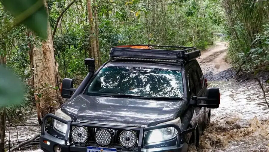 sqs74vlg car trapped in forest 625x300 29 February 24 pic905 895x505 78009
