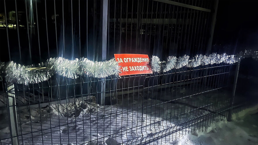 В Приморье пьяная женщина пыталась залезть в вольер ко льву