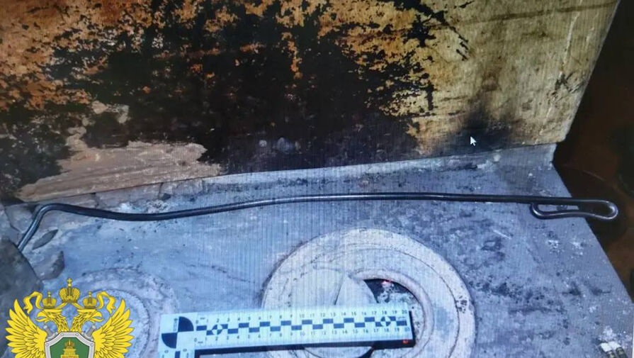 Сибиряк избил знакомого кочергой и опрокинул на него диван