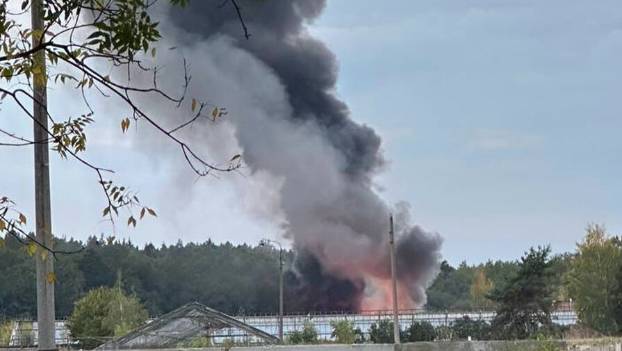 Пожар произошел на территории Тимирязевского парка в Москве