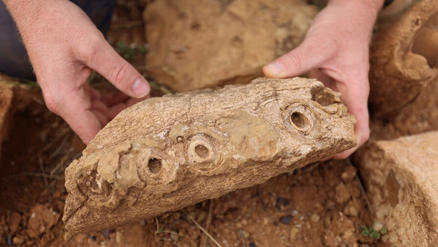 В Австралии обнаружили целый череп и скелет плезиозавра