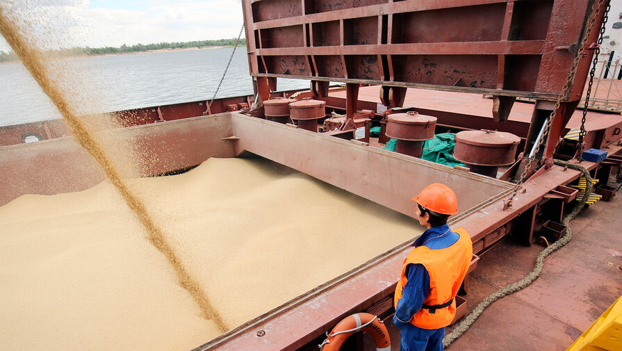 Вывозить зерно из России станет дороже с лета 2023 года