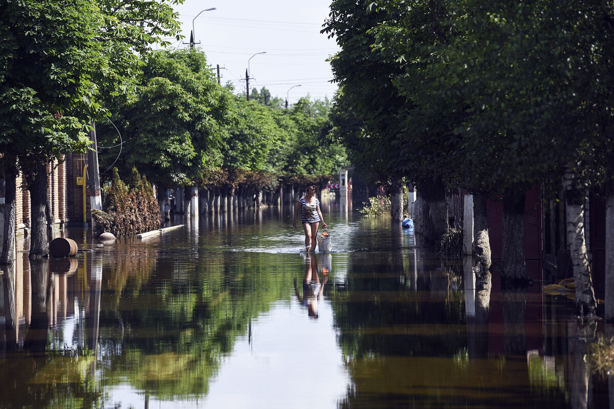 Врач призвал не использовать воду из водоемов Николаевской области для  полива - Газета.Ru | Новости