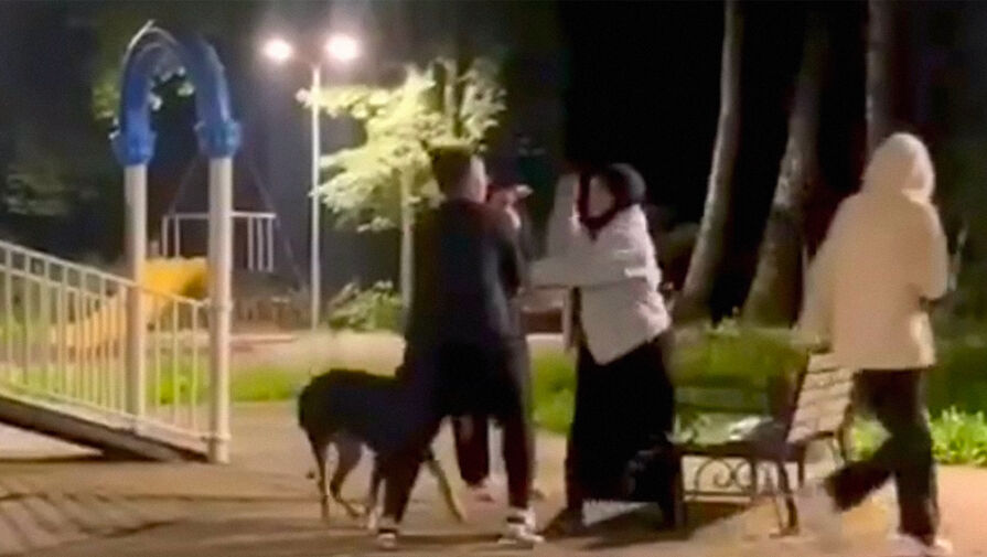В Дагестане женщины натравили собаку на ребенка, покалечили его мать и попали на видео
